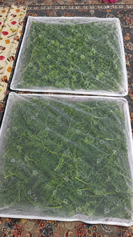 خشک کن میوه و سبزیجات